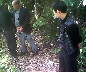 China Cruising in the Park