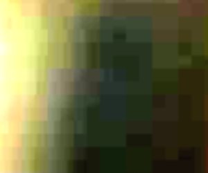 Skinny Blonde German double Blowjob